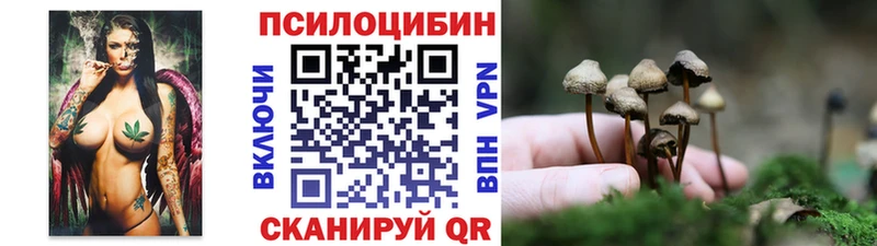 Псилоцибиновые грибы Magic Shrooms  кракен зеркало  Лабинск  как найти закладки 